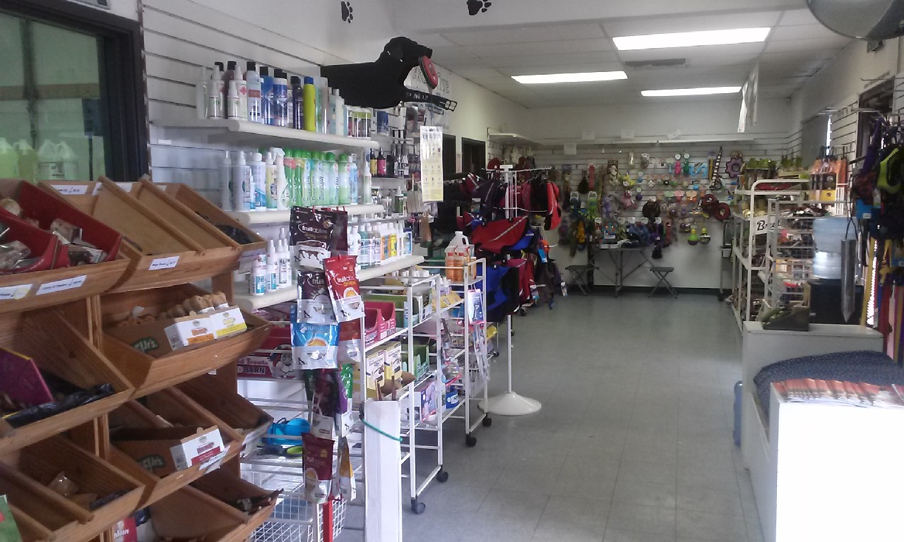 Inside my pet grooming shop, Pet Supplies at Ace Grooming by Sara 22