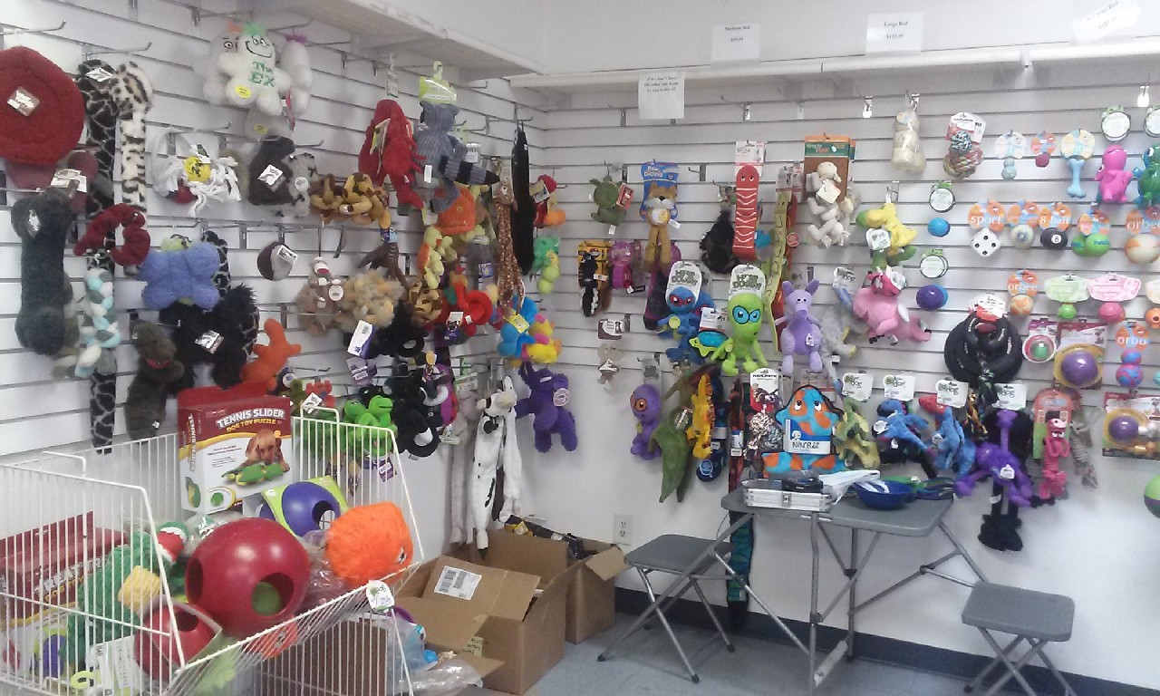 Inside my pet grooming shop, Pet Toys 7